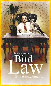 Bird Law Always Sunny Episode Charlie Kelley Bird Law It S Always Sunny In Philadelphia Bird Law It S Always Sunny