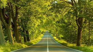 Looking for the best nature wallpaper ? Free Hd Download Wallpapers Group 72