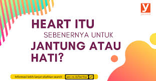 As is jantung in english? Heart Itu Sebenernya Untuk Jantung Atau Hati Yureka Education Center