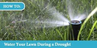 Irrigate lawn using the rules for watering. How To Water Your Lawn During A Drought Quality Irrigation