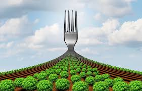 In cutlery or kitchenware, a fork (from the latin furca (pitchfork)) is a utensil, now usually made of metal, whose long handle terminates in a head that branches into several narrow and often slightly curved tines with which one can spear foods either to hold them to cut with a knife or to lift them to the. Eu Plans Cut To Antimicrobial And Pesticide Use In Farm To Fork Strategy Food Safety News
