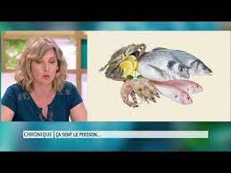 Plaisanterie traditionnelle du 1er avril. Je Sens Le Poisson Que Faire Le Magazine De La Sante Youtube