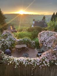 Image result for Clematis