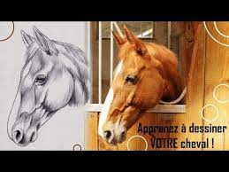 Tuto N 3 Apprenez A Dessiner Votre Cheval Debutant Closetoart Youtube Dessin Cheval Cheval Dessin