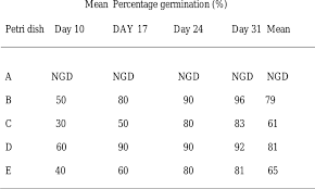 Image result for Cyclosorus striatus