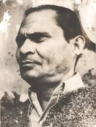 You'll be the Katherine Mansfield of Hindi