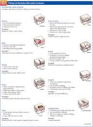 assessment of integumentary function