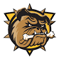 Brantford Bulldogs vs. Niagara IceDogs event image