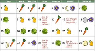 Votre jardin est magnifique ! Jardiner Avec La Lune Come4news