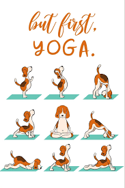 Maybe you would like to learn more about one of these? But First Yoga Funny Doga Yoga Positions Yoga Gifts For Yoga Lover Yoga Teacher Appreciation Gifts Christmas Gift Ideas For Her Press Magical Yoga Starlight 9781711521435 Amazon Com Books