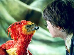 Find the perfect phoenix bird stock photos and editorial news pictures from getty images. Phoenix National Bird Of Lebanon