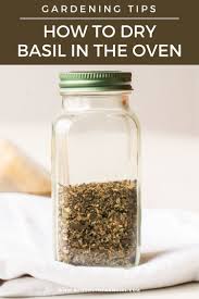 Set your oven to the lowest possible temperature, ideally well under 200 degrees. How To Dry Basil In The Oven Recipe Dry Basil How To Dry Basil Drying Fresh Herbs