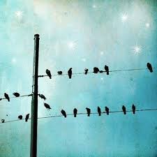 Easy Birds On A Wire Painting Pin By Carolin Breuer On Feeling A Little Blue Fine Art Photographs Pole Art Easy Paintings
