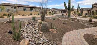 Exploring Desert Beauty: Landscape Architecture in Phoenix, Arizona –  Landscape 20/20 LLC