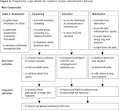 the evaluation of treatment services and systems for