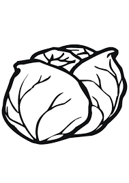 Coloring pages for adults with pumpkin. Coloring Pages Cabbage Vegetable Coloring Page