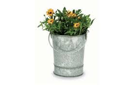 Check spelling or type a new query. Galvanized Metal Containers Gardenista