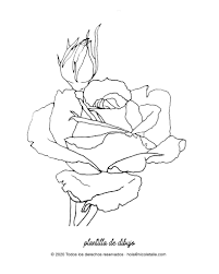 Si te gusta dibujar y pintar, es momento de que te inicies en el mundo del arte del dibujo digital, a través de la 20. Tutorial Paso A Paso Como Pintar Una Flor Con Acuarelas Rosas Nicoletalle