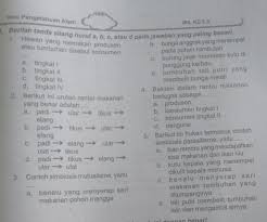 May 21, 2021 · inilah soal lomba mipa sd kelas 5. Bantu Saya Kerjakan Soal Ipa Kelas 5 Ya Brainly Co Id