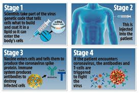 Pfizer rxpathways connects eligible patients to a range of assistance programs to help them access their pfizer prescriptions. Viagra Firm Unveils 90 Per Cent Successful Covid Jab 5million Brits Could Be Vaccinated By New Year S Eve