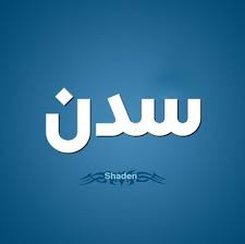 معنى اسم سدن وأصل الكلمة في اللغة العربية موقع مصري