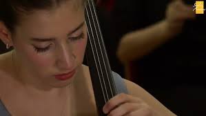 Nathan Lin and Nicolas Lin