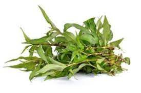 Aiman discussed serai or lemon grass. Daun Kesum Laksa Leaf 400g Bundle Sold Per Bundle Horeca Suppliers Supplybunny