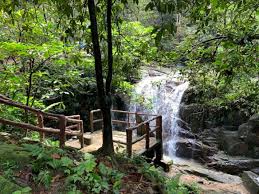 Check spelling or type a new query. Kanching Waterfall Hike Pokok Kelapa