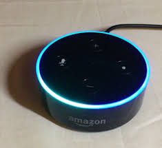 Descubra a melhor forma de comprar online. Amazon Echo E As Casas De Bonecas Encomendadas Pelo Alexa Conselhos E Dicas De Seguranca Welivesecurity
