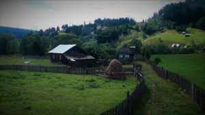 The entry form will only be available for submission during this. Mocanita MoldoviÈ›a Are Vesti Bune Si Foarte Bune Fericescu