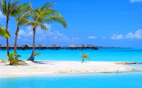 Maybe you would like to learn more about one of these? Beautiful Beach Wallpapers Top Free Beautiful Beach Backgrounds Wallpaperaccess
