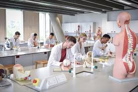 To graduate with a bachelor of arts (ba) you need to complete: B A Vs B S In Biology What S The Difference Faulkner University