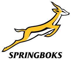 Springboks legend jean de villiers previews the british and irish lions series on stan sport. South Africa National Rugby Union Team Wikipedia
