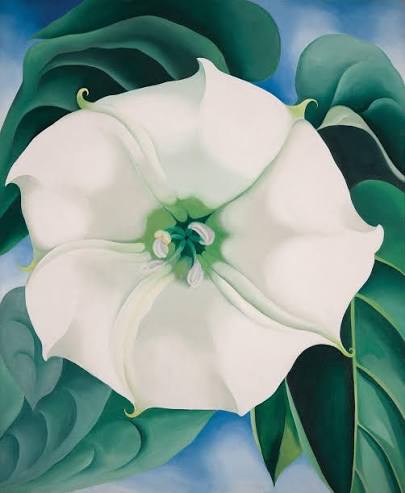 The Incredible Life and Passion of Georgia O'Keeffe &mdash; Art For Life