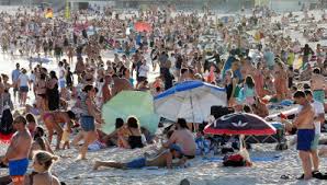 Once you have this pdf saved to your computer you can either print the card and fill the information in by hand or you can edit it with a pdf editor to add your information. Coronavirus Australia Bondi Backpackers Among 97 New Coronavirus Cases In Nsw
