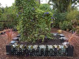 Check spelling or type a new query. A Bottle Garden We Have The Bottles Wine Bottle Garden Bottle Garden Garden