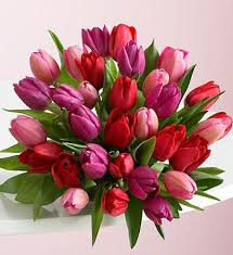Award winning real local florist in sydney. Rainbow Tulips Flowers Delivery Sydney Sweetheart Florist 24h