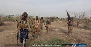 Iswap abducted 5 borno state workers on the 11th of september 2020, the workers were on their video: 35 Killed In Iswap Jihadist Attacks In Nigeria S Borno State Sources The Defense Post