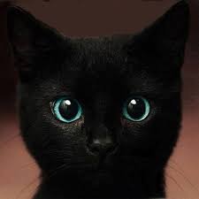 Black Kitty Stunning Blue Eyes Magnet By Zellnerprimitives 4 99 Best Cat Breeds Cute Animals Cats