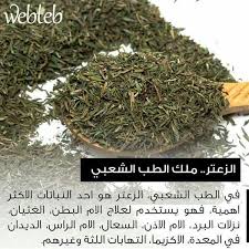 فوائد الزعتر Fruit Health Organic Health Natural Herbs