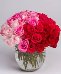 Rose Amore Flower Delivery Same Day Flower Delivery Flowers