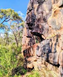 Profile for Serpentine Jarrahdale Trails Inc.