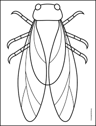 Download and print these free coloring pages. Easy How To Draw A Cicada Tutorial And Cicada Coloring Page Art Projects For Kids