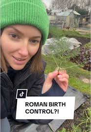 Fennel🤷‍♀️#fennel #digby #digbynovascotia #digbynovascotiacanada #gar...