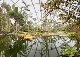 Plasma lamps are also being developed for greenhouse lighting. Quilted Greenhouse By Cf Moller Inflates To Alter Light And Heat