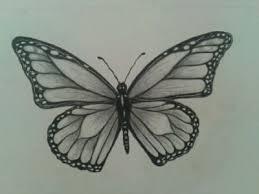 Butterfly Drawing Tumblr Butterfly Sketch Butterfly Drawing Butterfly Artwork