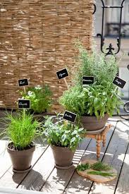 Comment Planter Des Plantes Aromatiques Sur Son Balcon Jardin Aromatique Plantes Aromatiques Herbes Aromatiques