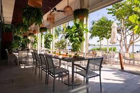 Image result for Faroa amara