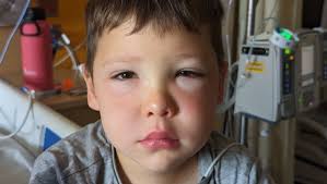 Fundraiser for Payten Martel by Nikki Sauve : Jack's Journey