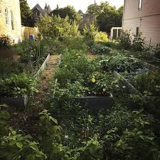 All natural ways to control slugs. Want To Know How To Keep Rabbits Out Of Your Garden Read This Gardenerdy